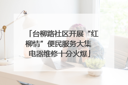 台柳路社区开展“红柳情”便民服务大集 电器维修十分火爆