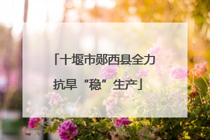 十堰市郧西县全力抗旱“稳”生产