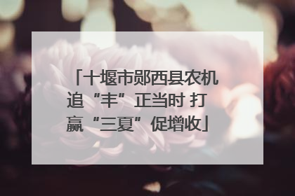 十堰市郧西县农机追“丰”正当时 打赢“三夏”促增收