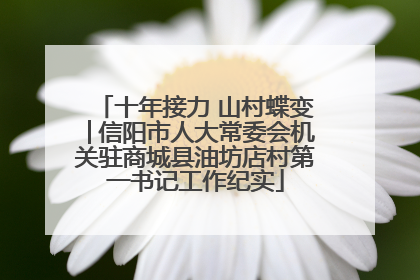 十年接力 山村蝶变│信阳市人大常委会机关驻商城县油坊店村第一书记工作纪实