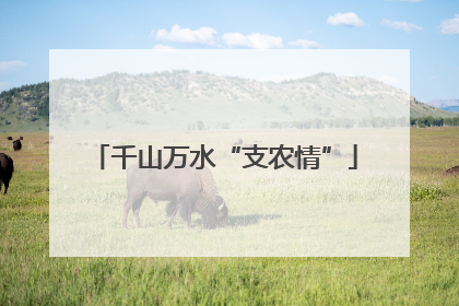 千山万水“支农情”