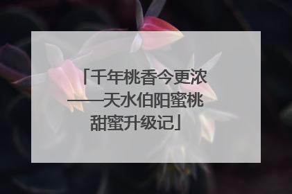 千年桃香今更浓——天水伯阳蜜桃甜蜜升级记