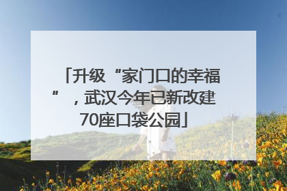 升级“家门口的幸福”，武汉今年已新改建70座口袋公园