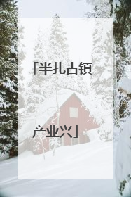半扎古镇产业兴