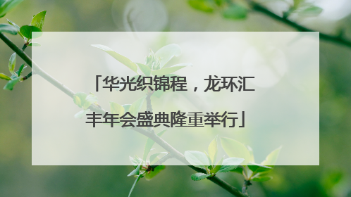 华光织锦程，龙环汇丰年会盛典隆重举行