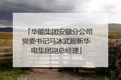 华能集团安徽分公司党委书记马冰武履新华电集团副总经理