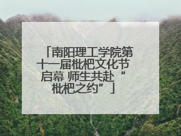 南阳理工学院第十一届枇杷文化节启幕 师生共赴“枇杷之约”