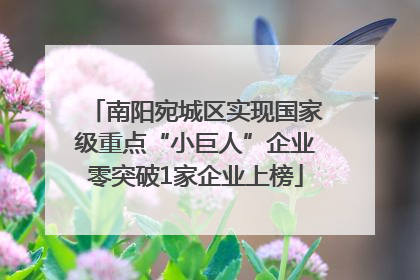 南阳宛城区实现国家级重点“小巨人”企业零突破1家企业上榜