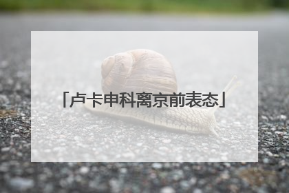 卢卡申科离京前表态