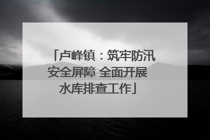 卢峰镇：筑牢防汛安全屏障 全面开展水库排查工作