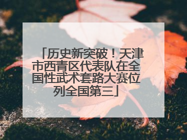 历史新突破！天津市西青区代表队在全国性武术套路大赛位列全国第三