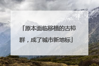 原本面临移植的古樟群，成了城市新地标