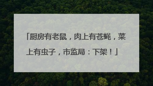厨房有老鼠，肉上有苍蝇，菜上有虫子，市监局：下架！