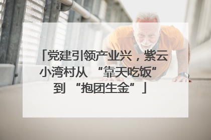 党建引领产业兴，紫云小湾村从 “靠天吃饭” 到 “抱团生金”