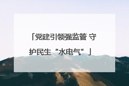 党建引领强监管 守护民生“水电气”