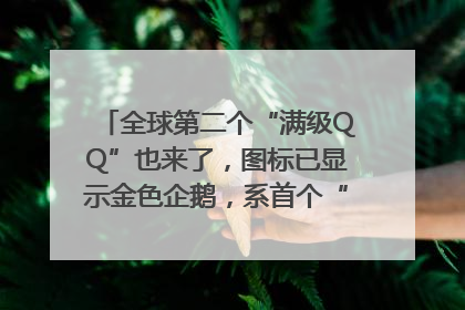 全球第二个“满级QQ”也来了，图标已显示金色企鹅，系首个“满级QQ”的小号