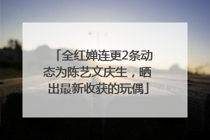 全红婵连更2条动态为陈艺文庆生，晒出最新收获的玩偶