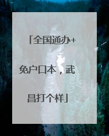 全国通办+免户口本，武昌打个样