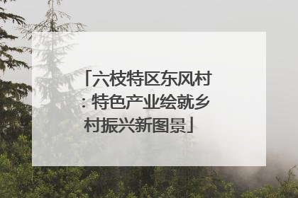 六枝特区东风村：特色产业绘就乡村振兴新图景