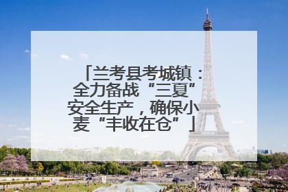 兰考县考城镇：全力备战“三夏”安全生产，确保小麦“丰收在仓”
