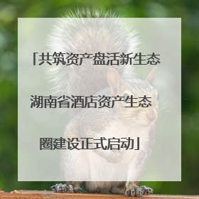 共筑资产盘活新生态 湖南省酒店资产生态圈建设正式启动
