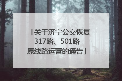 关于济宁公交恢复317路、501路原线路运营的通告