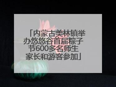 内蒙古美林镇举办悠悠谷首届粽子节600多名师生家长和游客参加