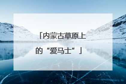 内蒙古草原上的“爱马士”