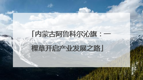 内蒙古阿鲁科尔沁旗：一棵草开启产业发展之路