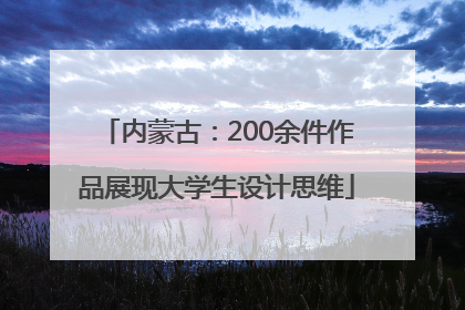 内蒙古：200余件作品展现大学生设计思维