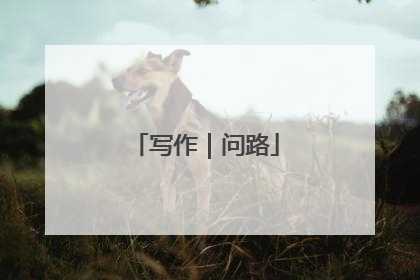 写作｜问路