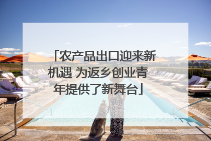 农产品出口迎来新机遇 为返乡创业青年提供了新舞台