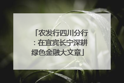 农发行四川分行：在宜宾长宁深耕绿色金融大文章