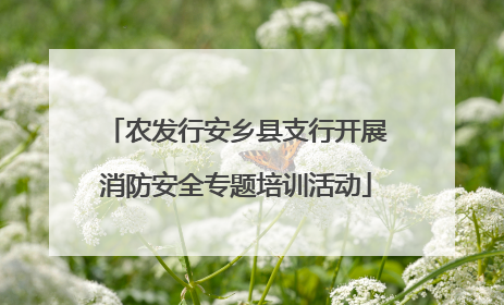 农发行安乡县支行开展消防安全专题培训活动