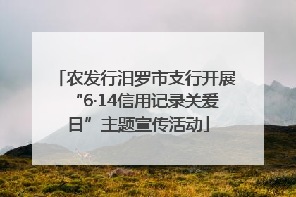 农发行汨罗市支行开展“6·14信用记录关爱日”主题宣传活动