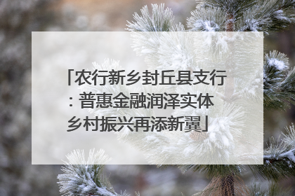 农行新乡封丘县支行：普惠金融润泽实体 乡村振兴再添新翼