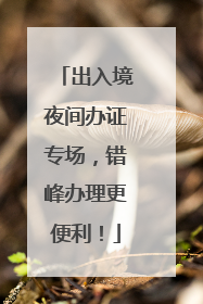 出入境夜间办证专场，错峰办理更便利！