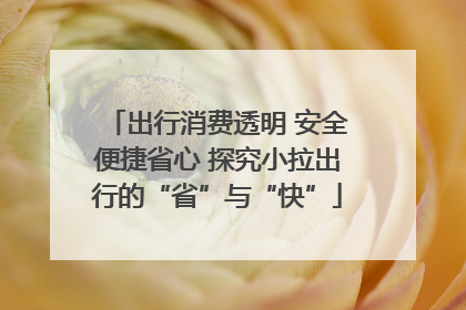 出行消费透明 安全便捷省心 探究小拉出行的“省”与“快”