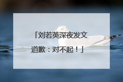 刘若英深夜发文道歉：对不起！