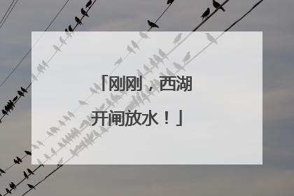 刚刚，西湖开闸放水！
