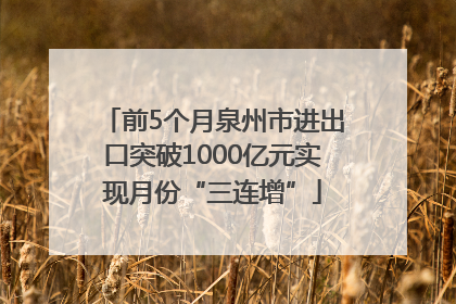前5个月泉州市进出口突破1000亿元实现月份“三连增”