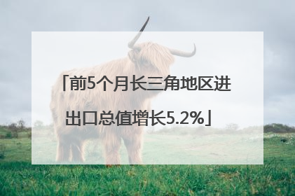 前5个月长三角地区进出口总值增长5.2%