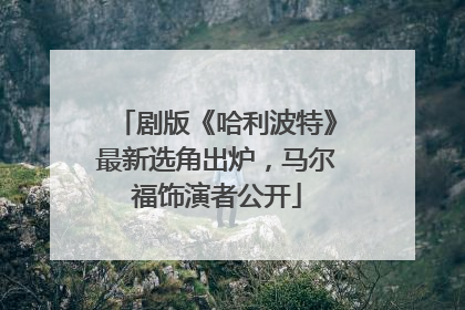 剧版《哈利波特》最新选角出炉，马尔福饰演者公开