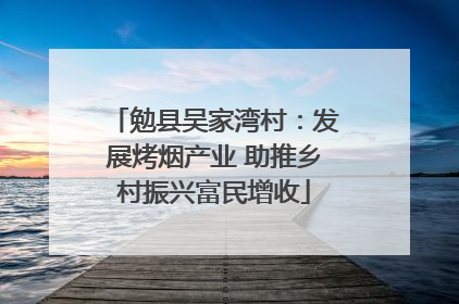 勉县吴家湾村：发展烤烟产业 助推乡村振兴富民增收