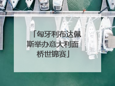 匈牙利布达佩斯举办意大利面桥世锦赛