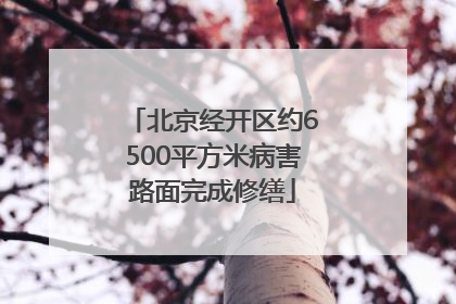 北京经开区约6500平方米病害路面完成修缮
