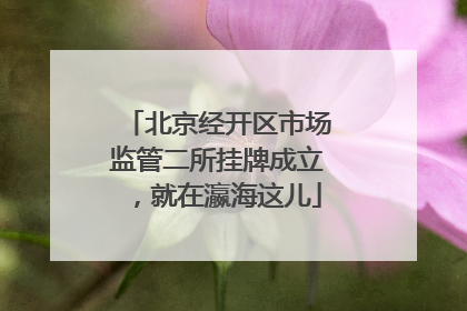 北京经开区市场监管二所挂牌成立，就在瀛海这儿