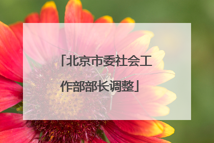 北京市委社会工作部部长调整