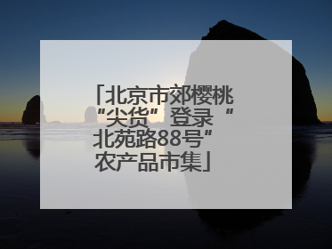 北京市郊樱桃“尖货”登录“北苑路88号”农产品市集