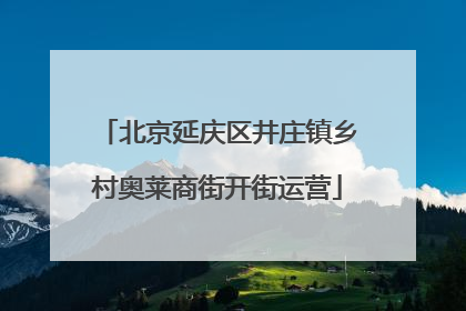 北京延庆区井庄镇乡村奥莱商街开街运营